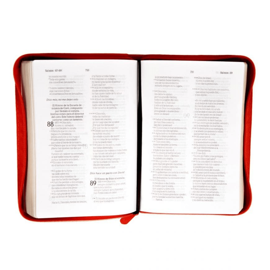 Biblia Mediana Cierre Letra Mayor Naranja Lenguaje Actual