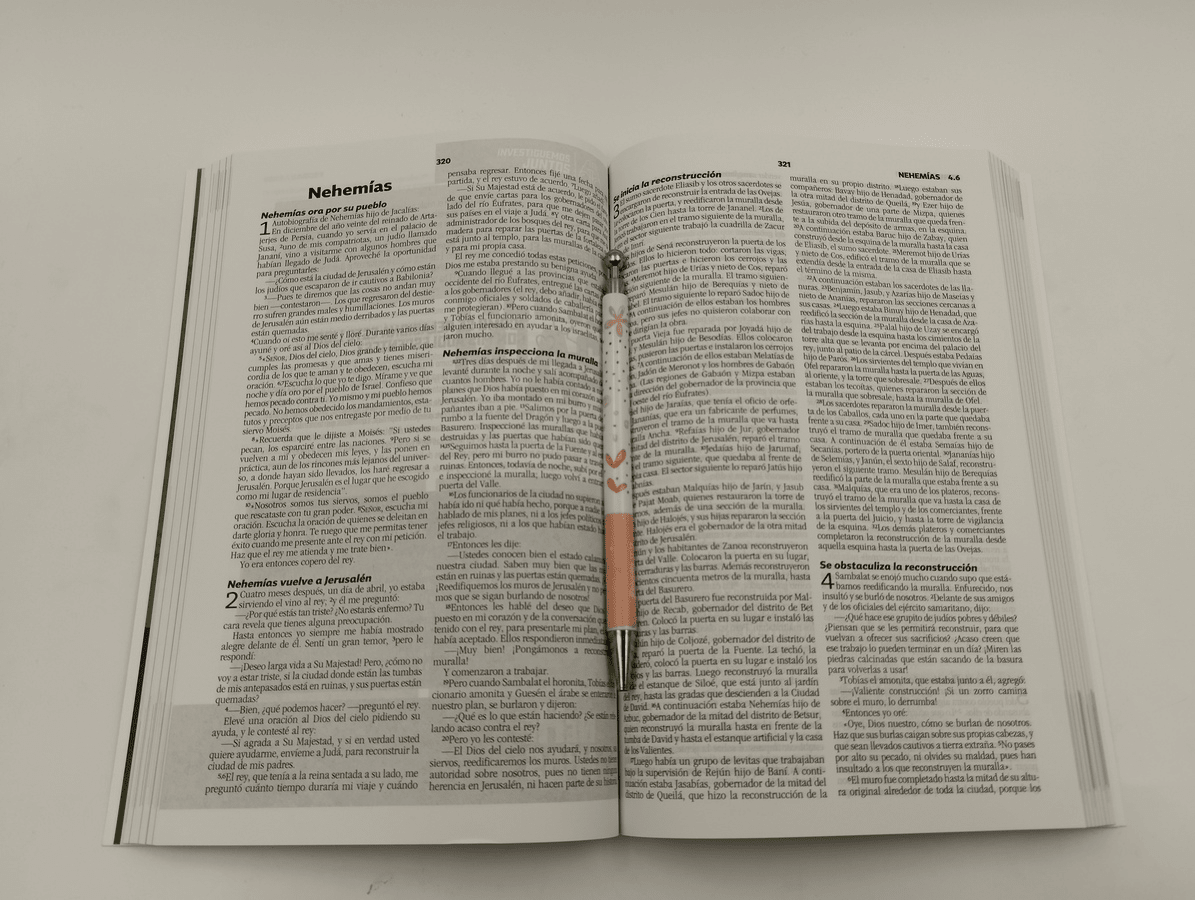 Biblia Para Líderes De Adolescentes - Nueva Biblia Viva - E625