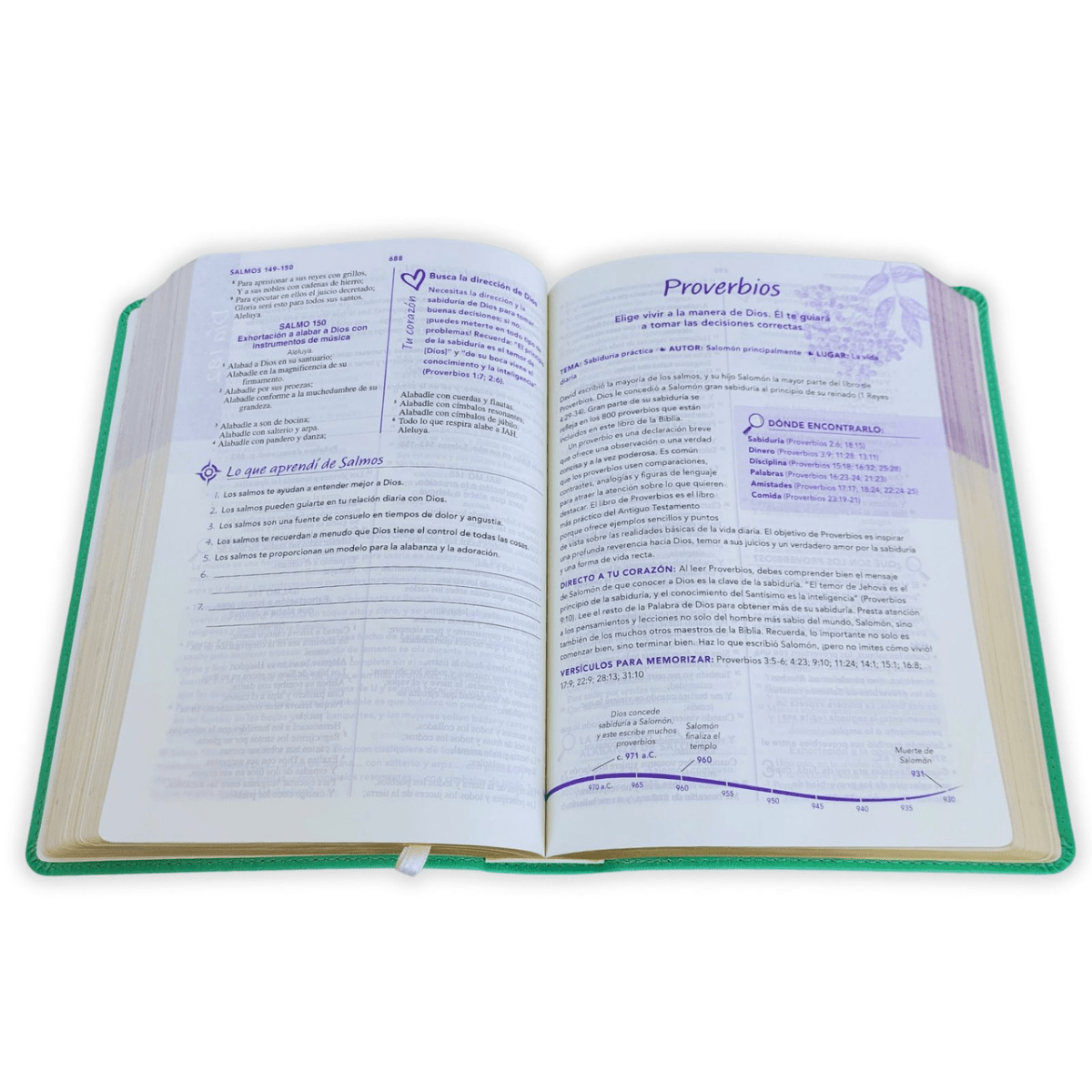 Biblia De Estudio Una Jóven Conforme Al Corazón De Dios