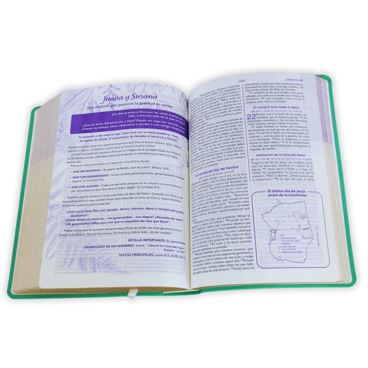 Biblia De Estudio Una Jóven Conforme Al Corazón De Dios