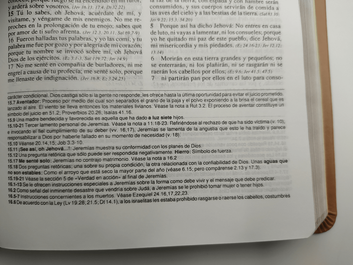 Biblia De Estudio Plenitud Manual Terracota