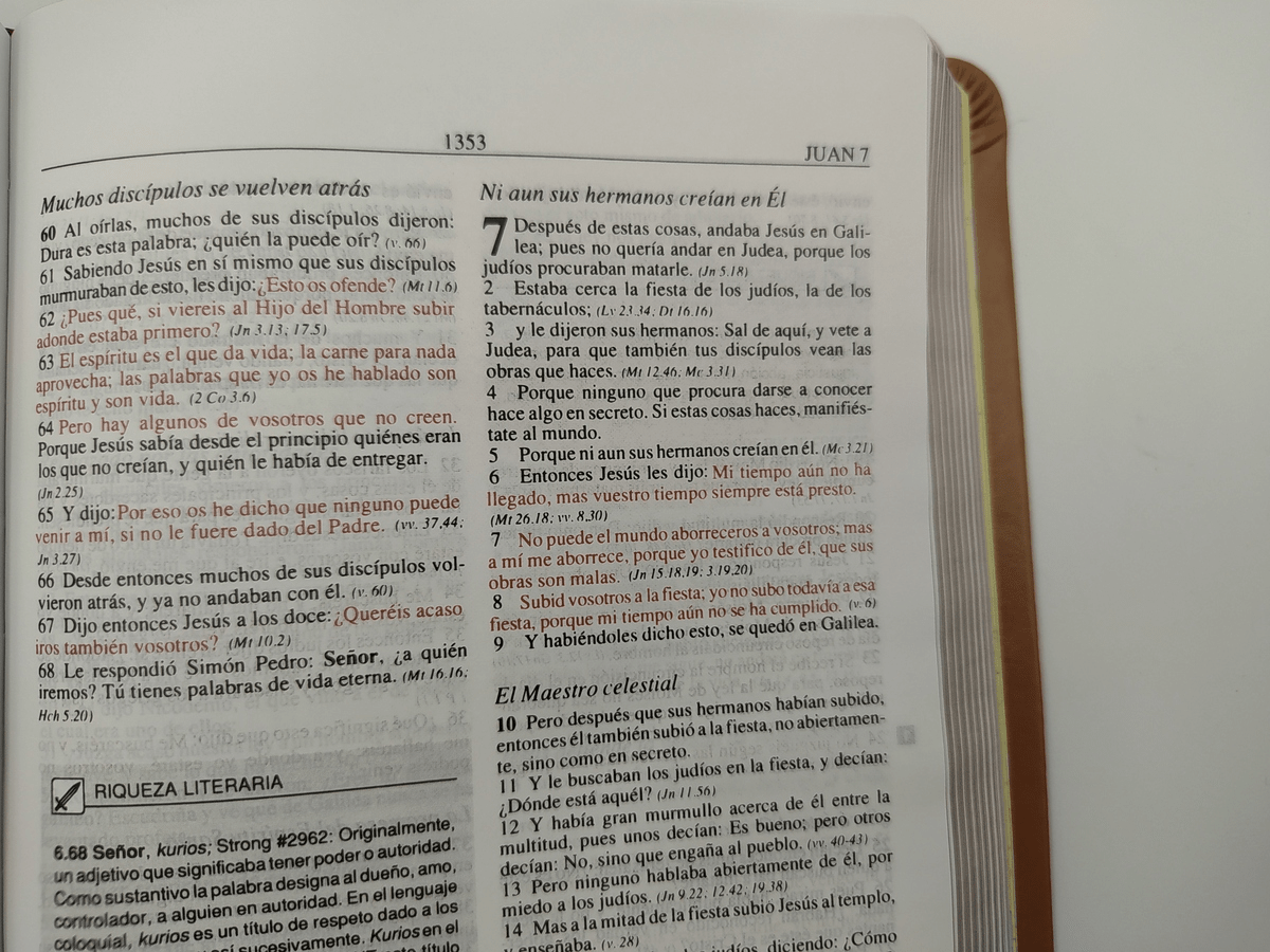 Biblia De Estudio Plenitud Manual Terracota