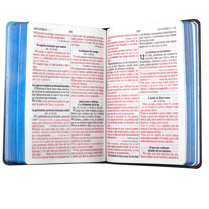 Biblia Reina Valera 1960 · 13,5x21 cm · Letra 13 pt · Tapa dura · Diseño león azul con canto azul