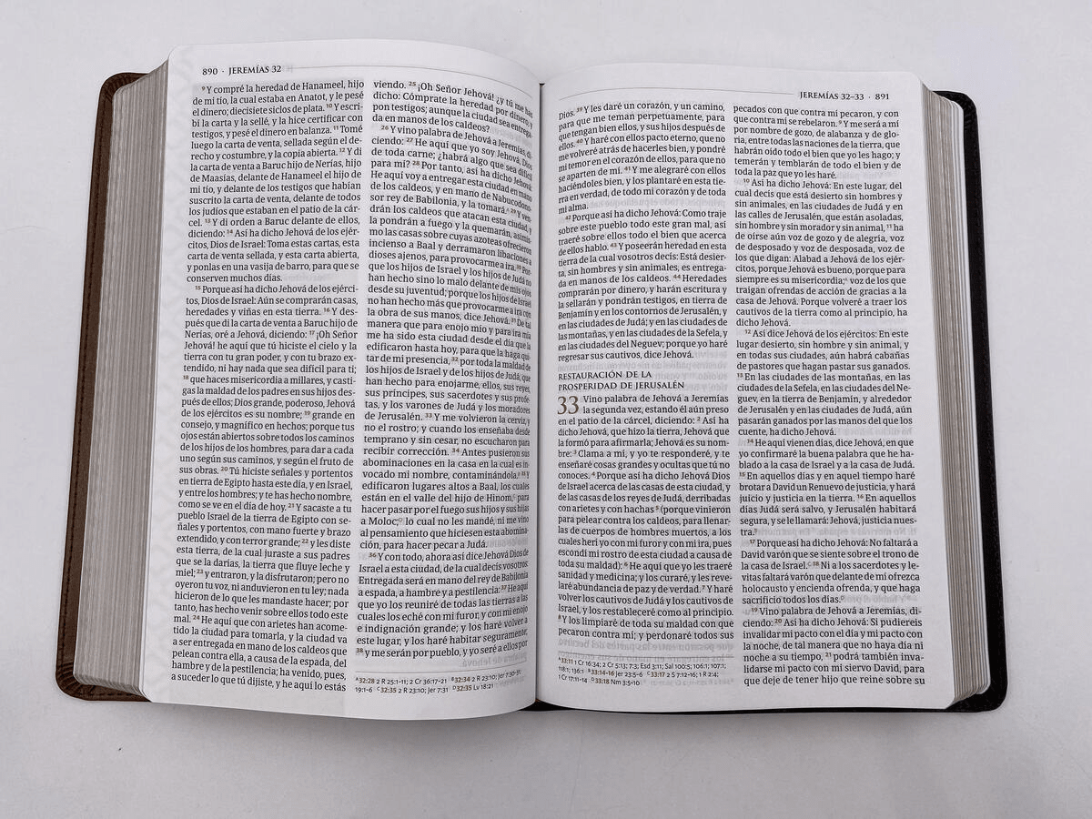 Biblia Reina Valera 1960 De Estudio Temática Marron Oscuro/Marron Piel Fabricada B&H - Lifeway