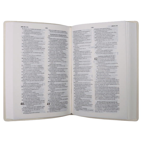 Biblia Reina Valera 1960 – Tapa Vinil Azul, Letra 8 Puntos
