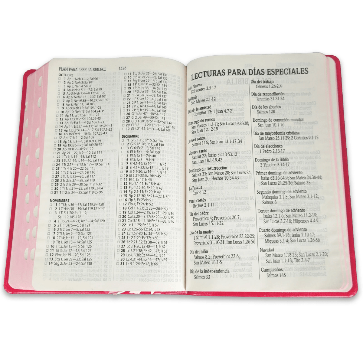 Biblia Reina Valera 1960 – Tapa Imitación Piel Mariposa Rosa, con Cierre, Concordancia, Palabras de Jesús en Rojo, con Índice, 14 x 22 cm, Letra 12 Puntos