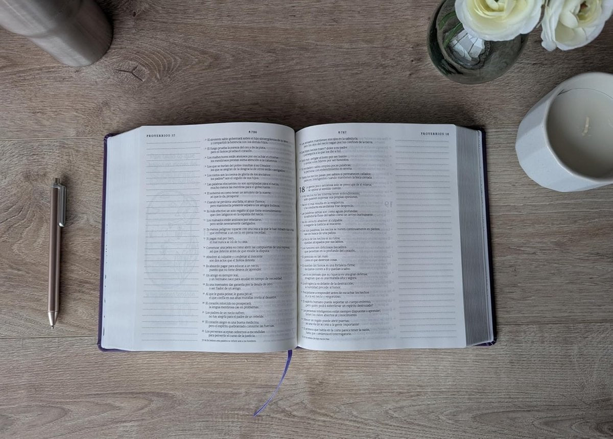 Biblia Nueva Traducción Viviente (NTV), Letra 10 Pt, 16×21, Inspira, Con Filament, Tapa Dura, Púrpura