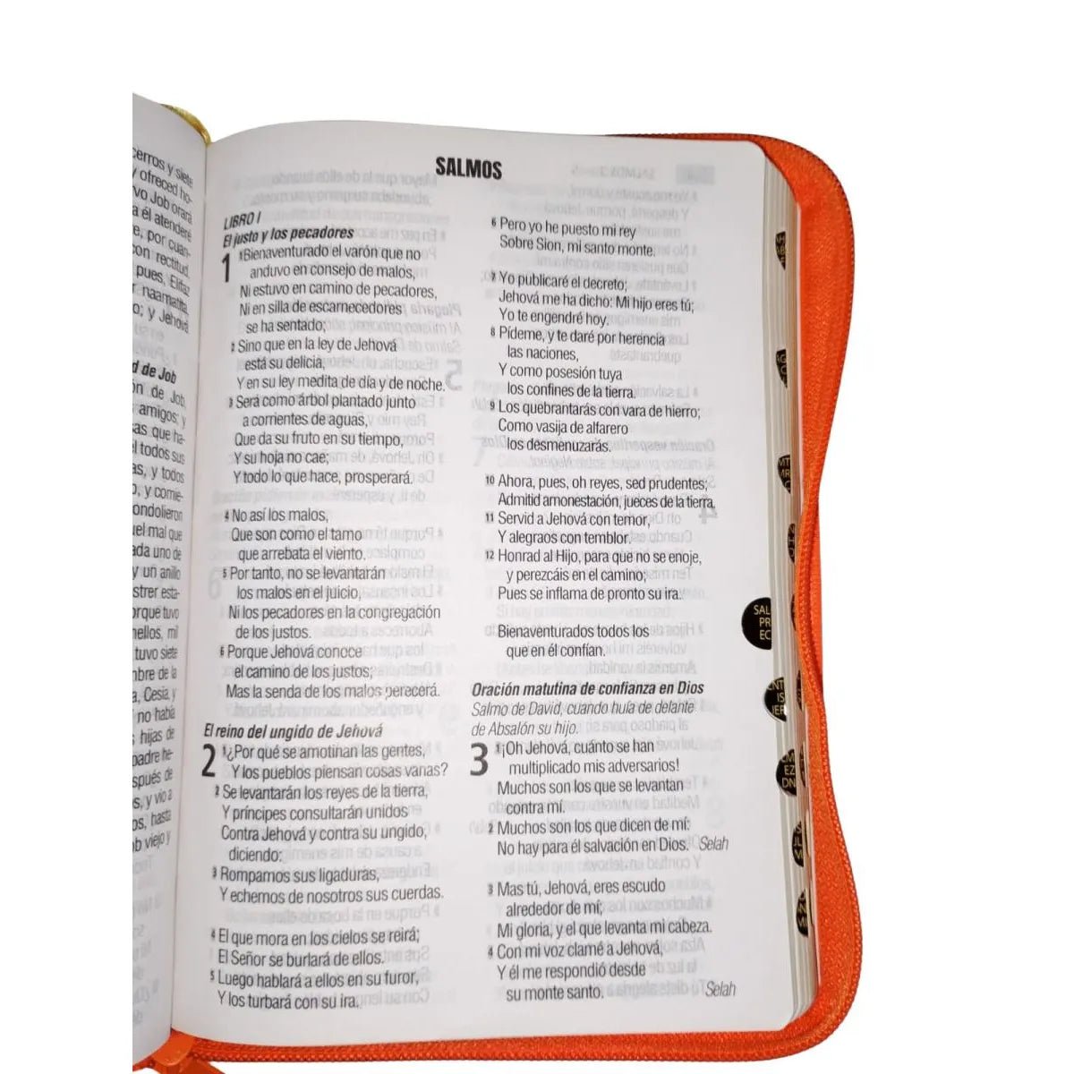 Biblia Reina Valera 1960 Letra 12p PJR cierre índice Covertex Naranja