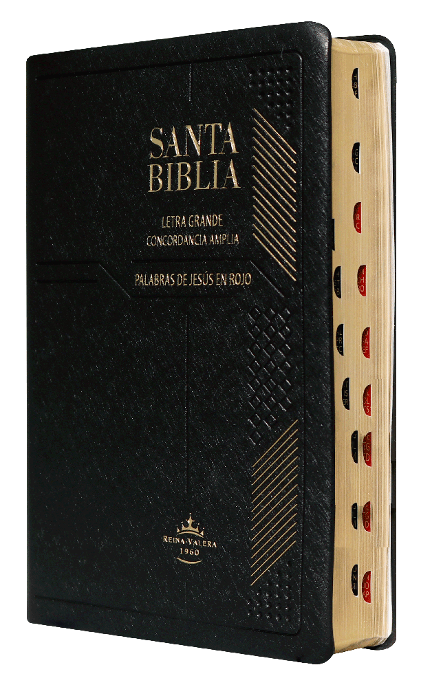 Biblia Reina Valera 1960 Letra Grande Índice Negra Concordancia