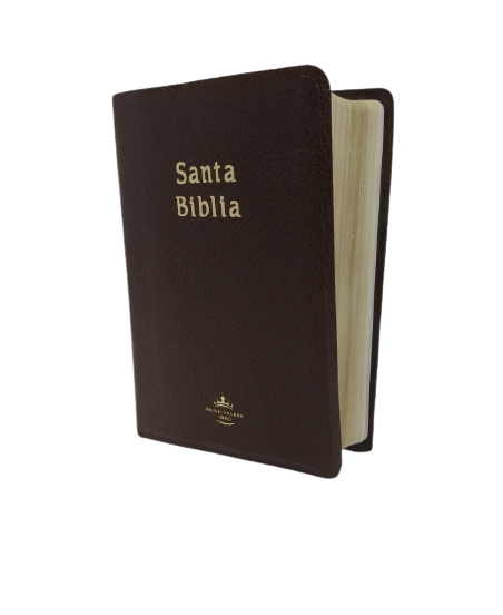Biblia Reina Valera 1960 Mediana Concordancia Color Café