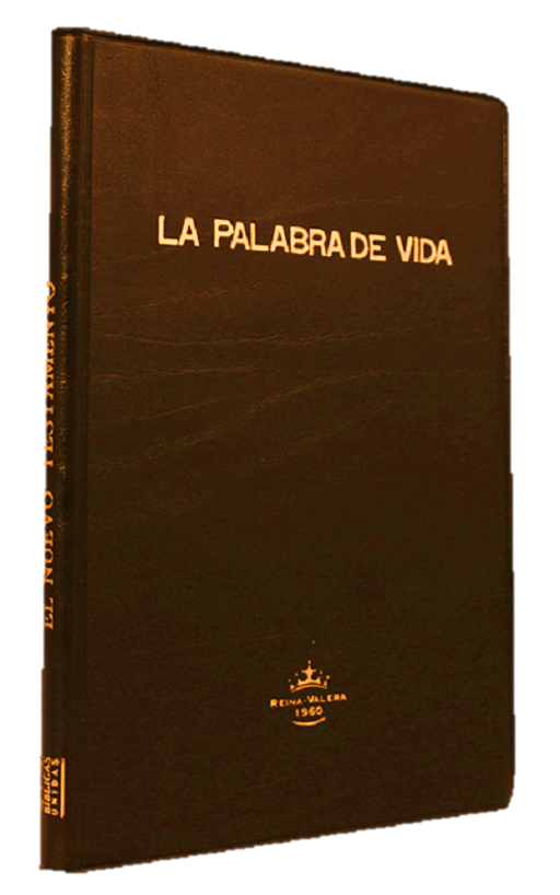 Nuevo Testamento Reina Valera 1960 Letra Grande Tapa Vinílica Café