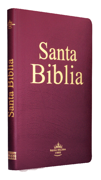 Biblia Grande Económica Covertex Reina Valera 1960