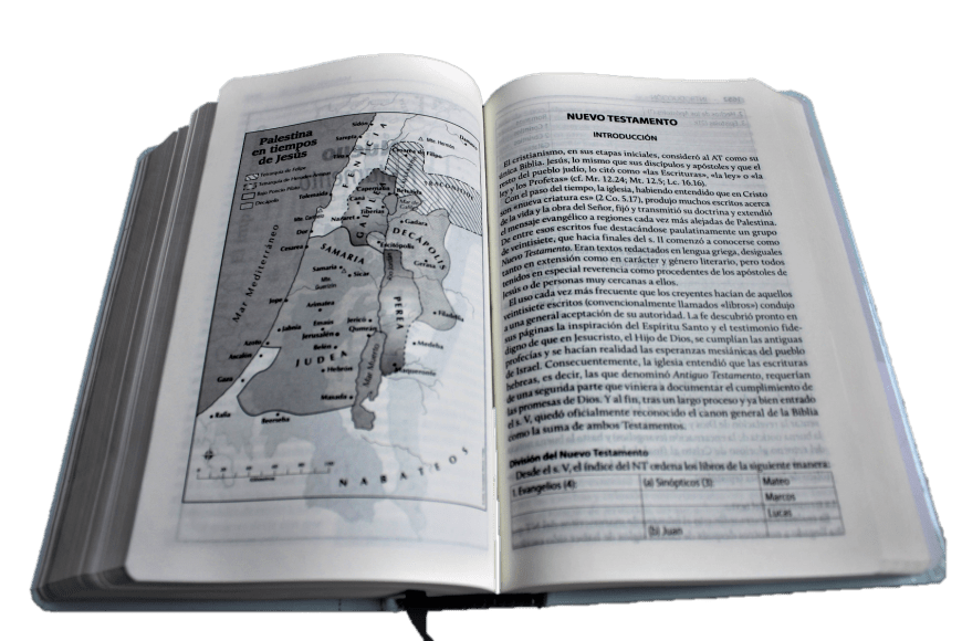 Biblia Reina Valera Contemporánea Estudio Andros Concordancia Tapa Dura - Sbu