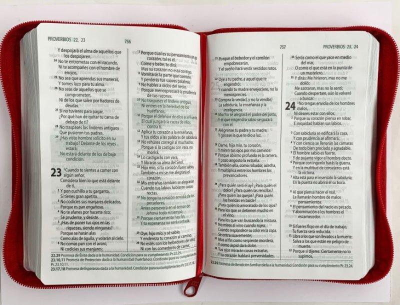 Biblia Reina Valera 1960 Cierre Concordancia Palabras De Esperanza Rojo Canto Plateado 12x 17 cm - Sbu
