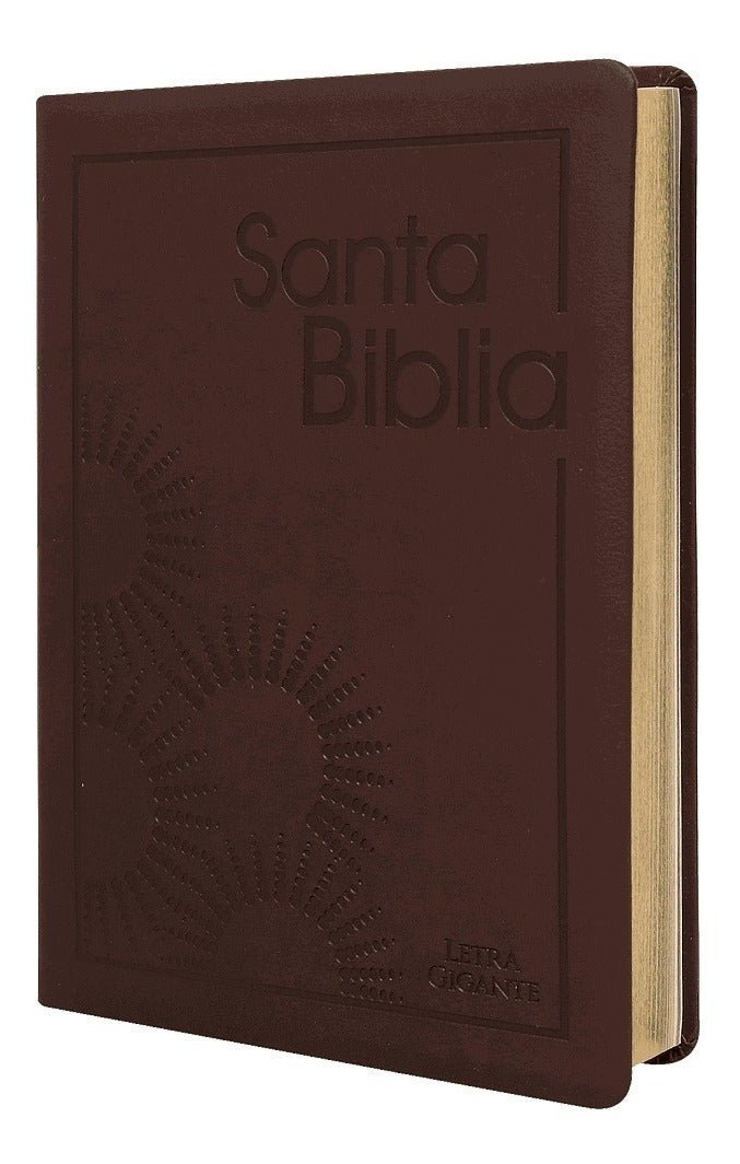 Biblia Reina Valera 1960 Letra Gigante Pjr Bordo Concordancia