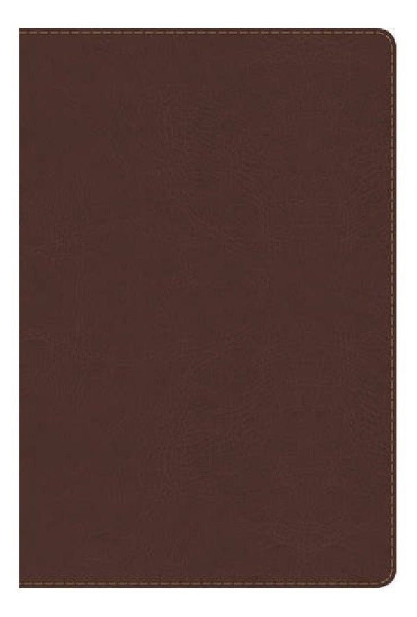 Biblia De Estudio Arco Iris Chocolate Símil Piel Reina Valera 1960