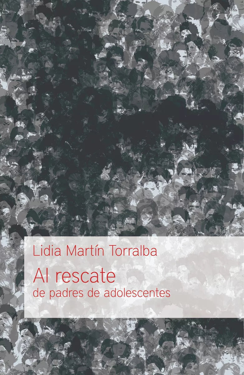 Al Rescate De Padres De Adolescentes  Lidia Martín Torralba Andamio