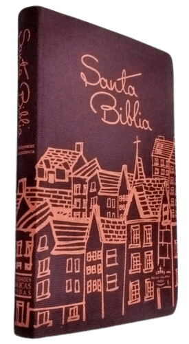 Biblia Reina Valera 1960 Concordancia Tapa Flexible Bordo