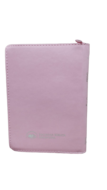 Biblia Reina Valera 1960 Cierre Fuente De Bendicion Rosa 12 x 17 cm Letra 10 Puntos