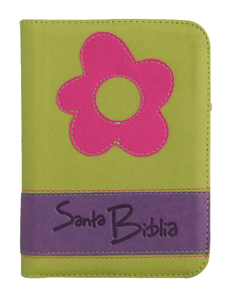 Biblias taco 4