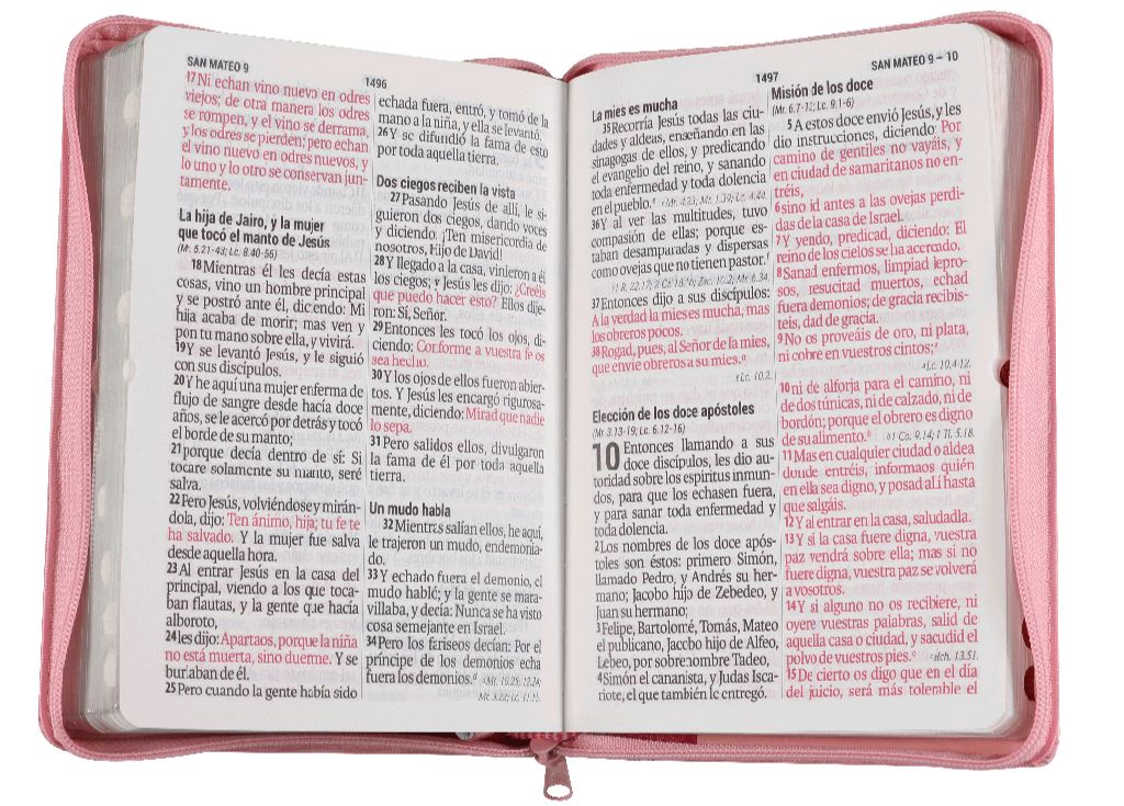 Biblia Reina Valera 1960 Letra Grande Cierre Indice Rosa