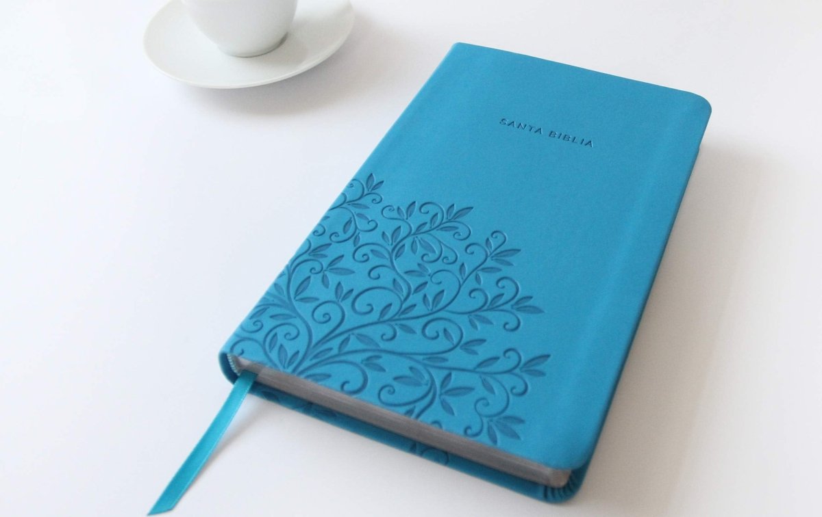 Biblia Reina Valera 1960 Imágenes Tierra Santa – Tapa Imitación Piel Azul Celeste, Letra 10pt, 14x21 cm