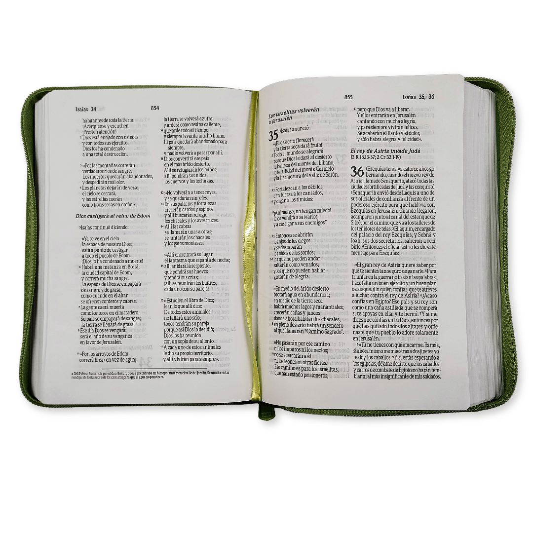 Biblia Mediana Cierre Letra Mayor Traducción Lenguaje Actual