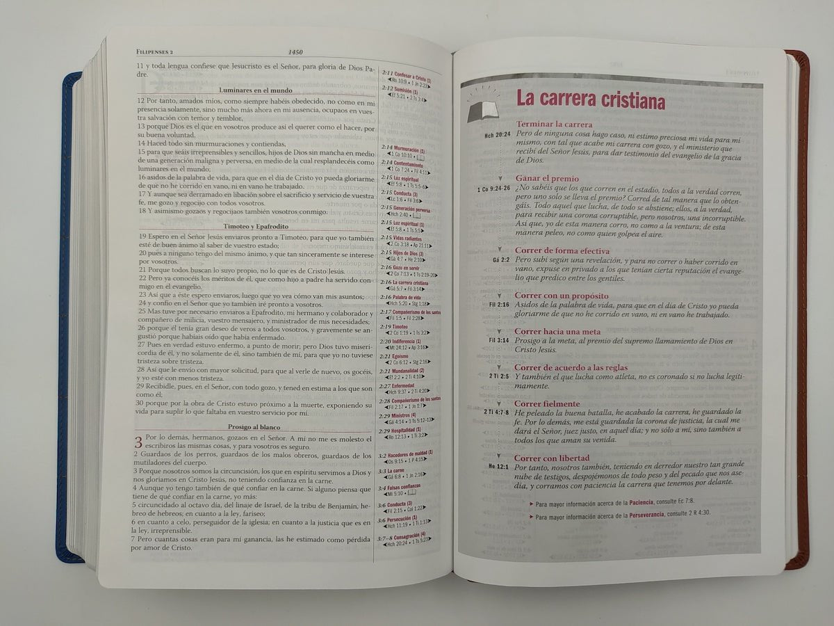 Biblia De Estudio Thompson Edición Especial Piel Dos Tonos