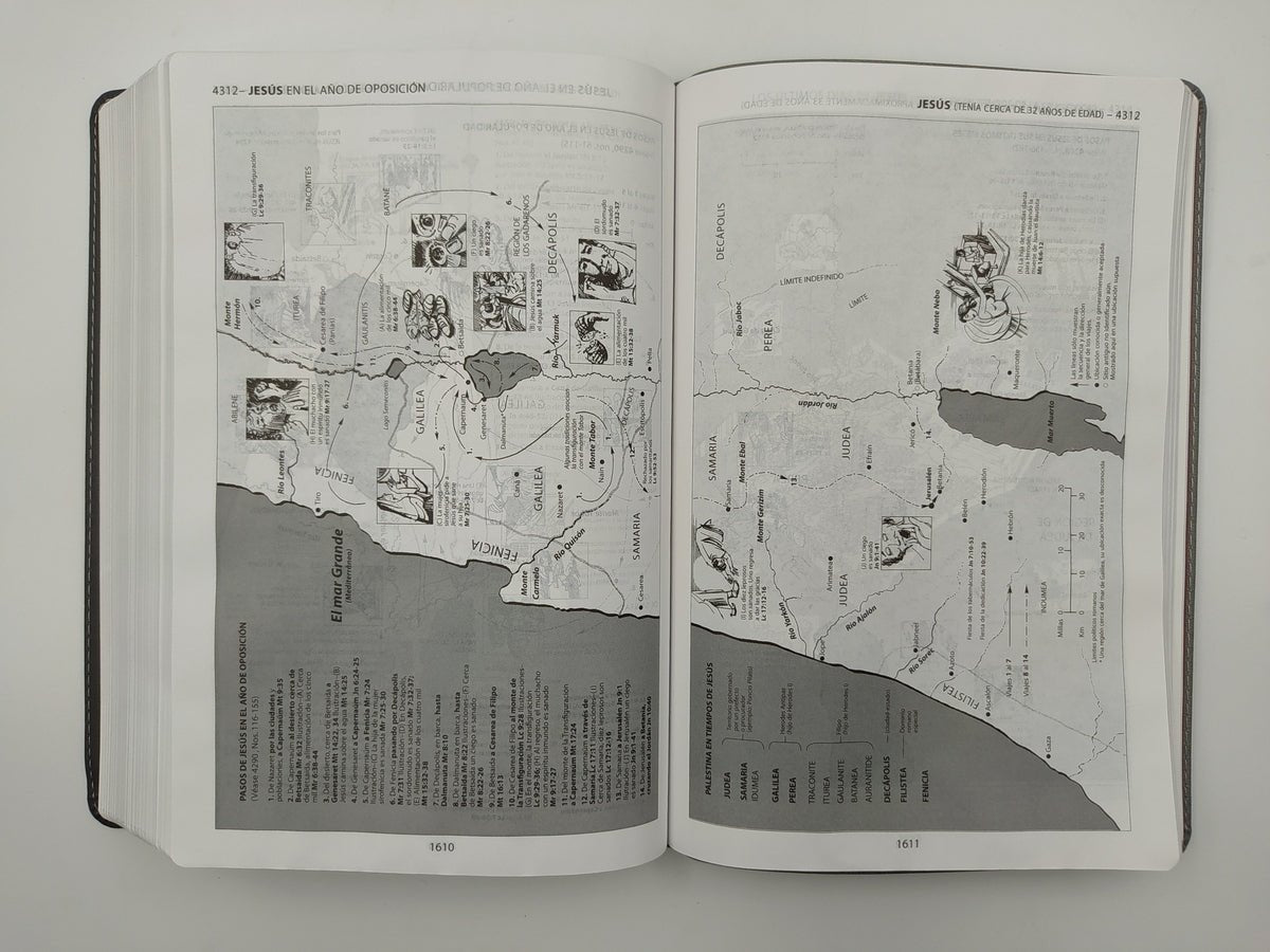 Biblia De Estudio Thompson Referencias Piel Negro Gris
