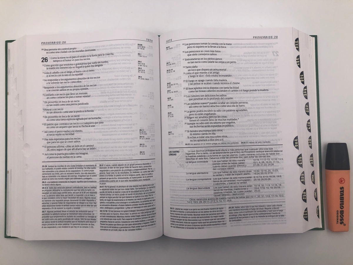 Biblia de Estudio del Diario Vivir Nueva Traducción Viviente Tapa dura – Con Índice, Letra 9pt, 18x25 cm