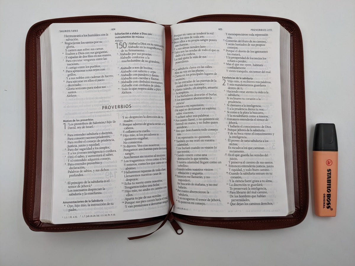 Biblia RVR 1960 Letra 10 Pts 14 X 21 Imit Piel Marron Cierre