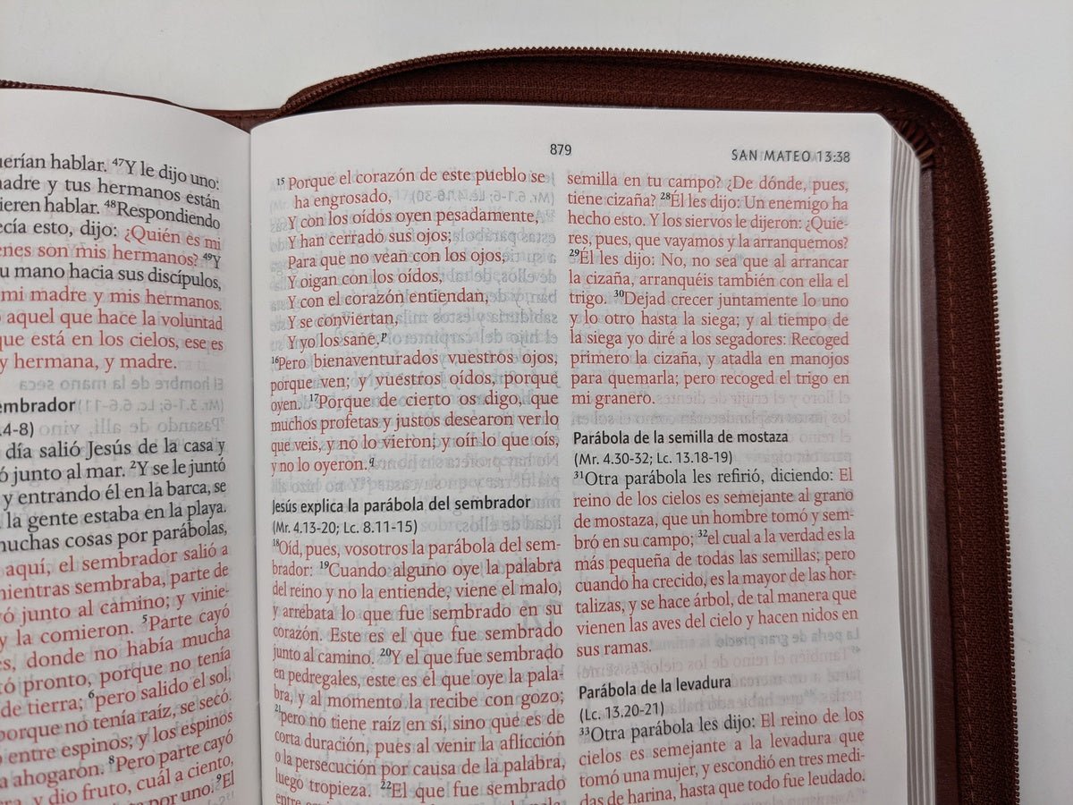 Biblia RVR 1960 Letra 10 Pts 14 X 21 Imit Piel Marron Cierre