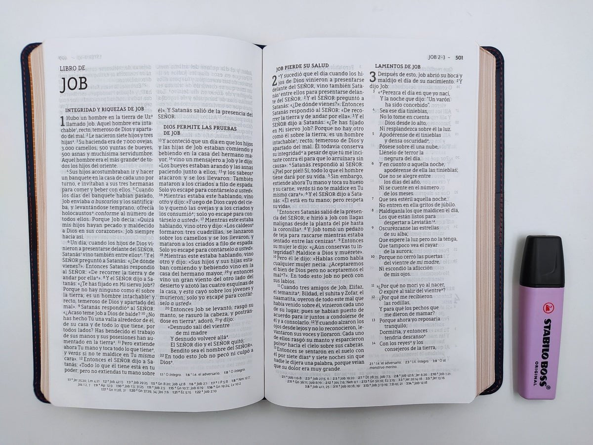 Biblia Nueva Biblia de las Américas Letra Grande Ultrafina