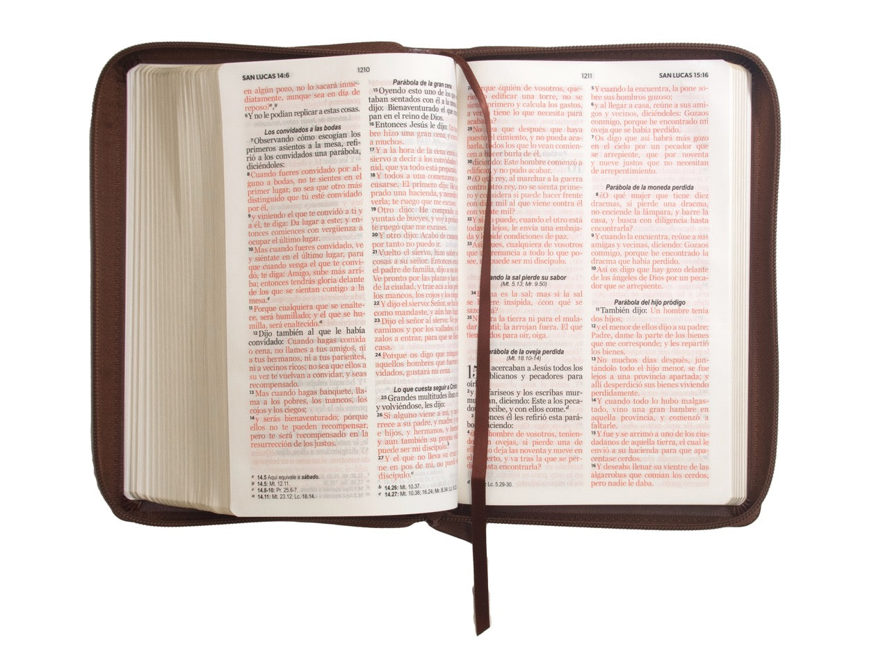 Biblia Reina Valera 1960 · 13,8x21,2 cm · Letra grande 12,5 pt · Con cierre · Edición clásica café