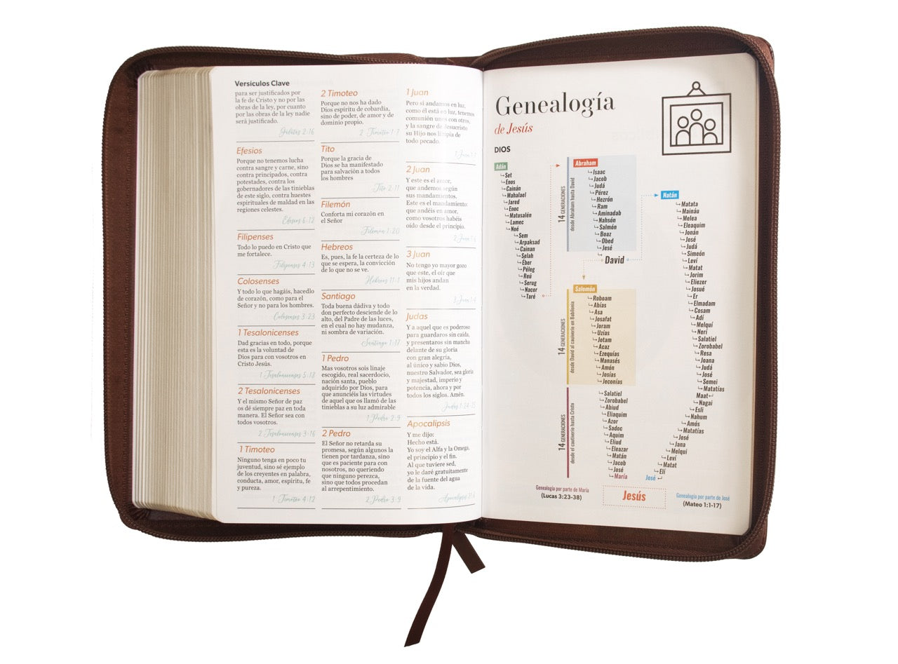 Biblia Reina Valera 1960 · 13,8x21,2 cm · Letra grande 12,5 pt · Con cierre · Edición clásica café