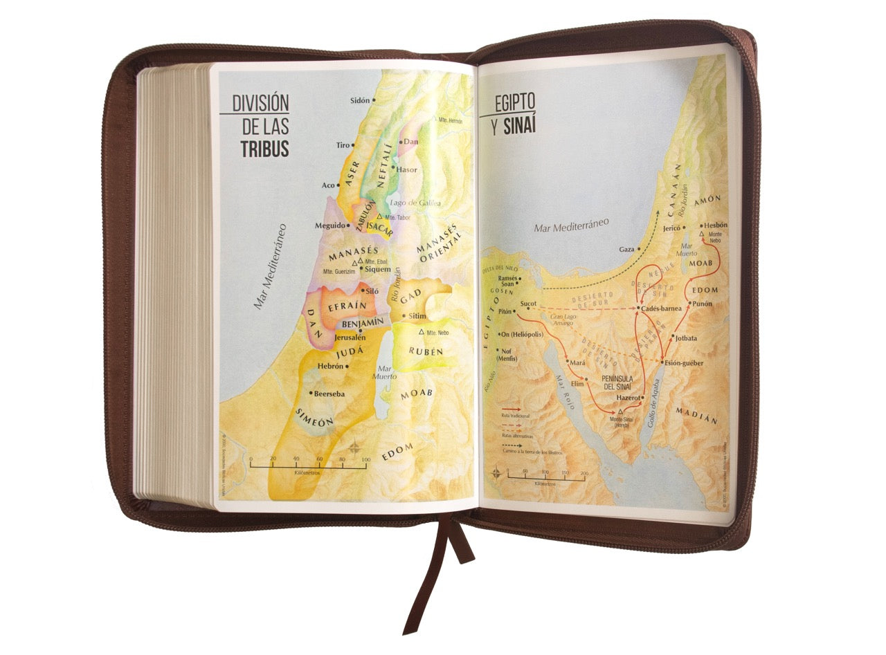 Biblia Reina Valera 1960 · 13,8x21,2 cm · Letra grande 12,5 pt · Con cierre · Edición clásica café