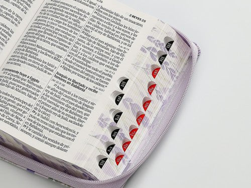 Biblia Reina Valera 1960 045Czti L 10P 11X16Cm Pjr Cp Victoria Flores Sobre Lila