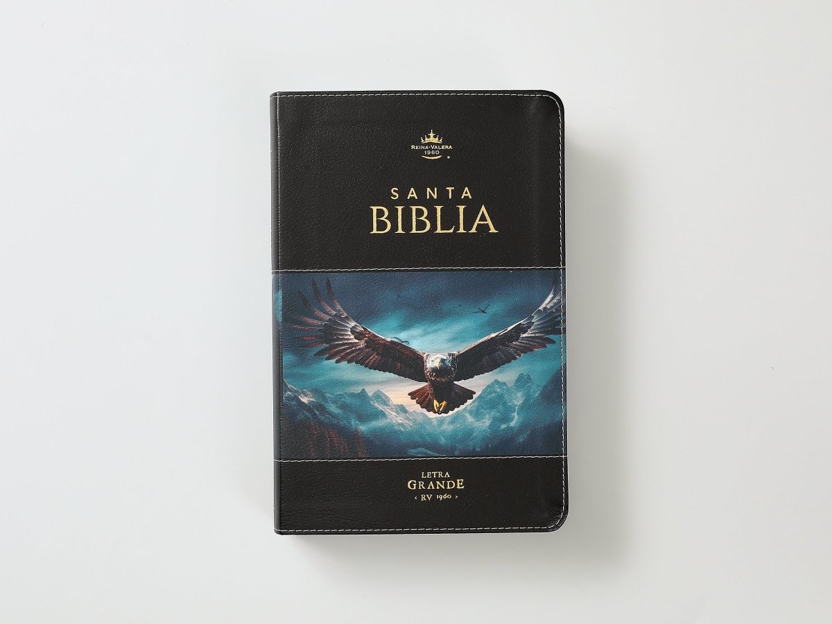 Biblia RVR60 065cti Colección Supreme Águila en vuelo