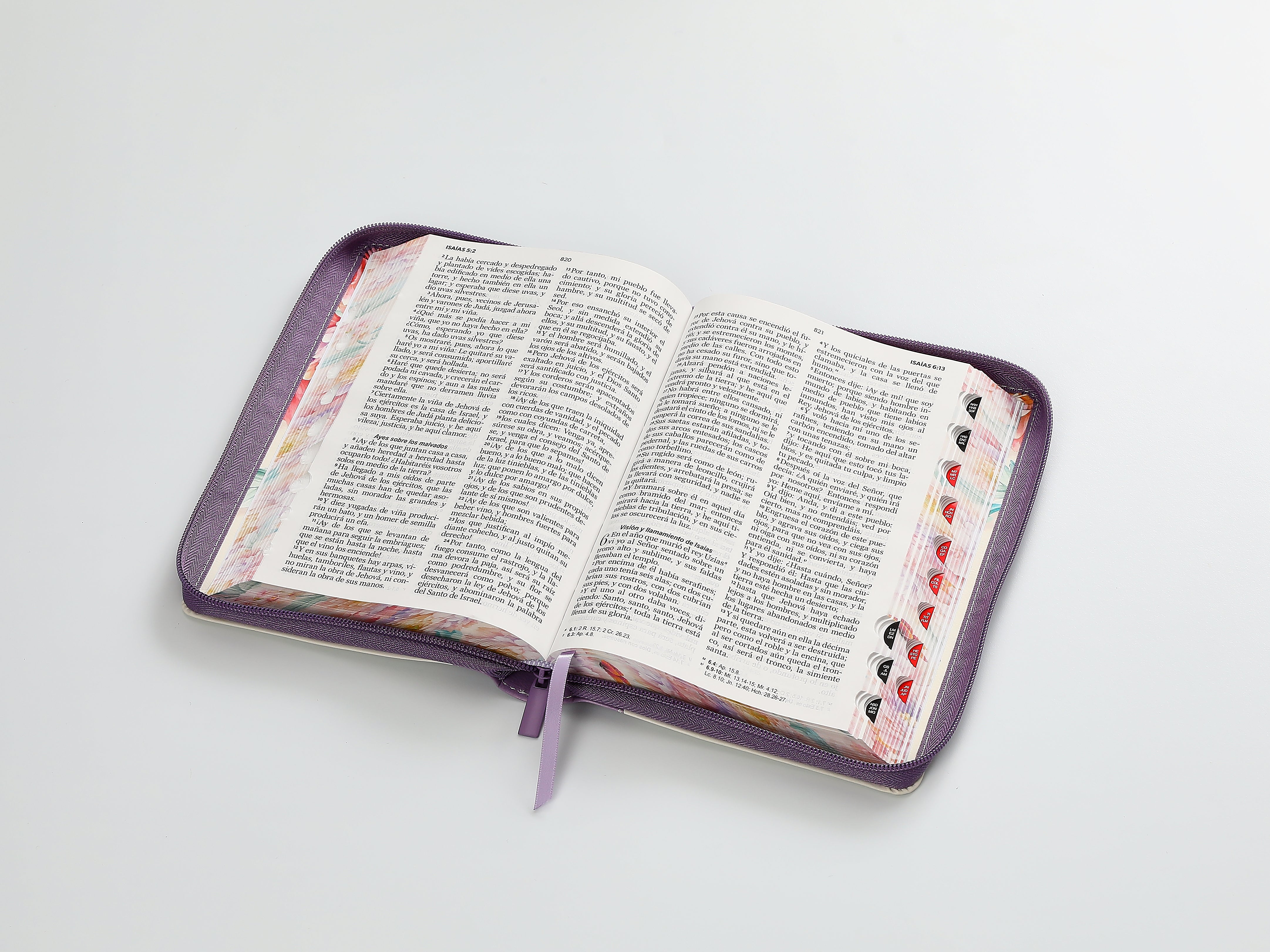 Biblia RVR60 065czti PJR CP jardín turquesa