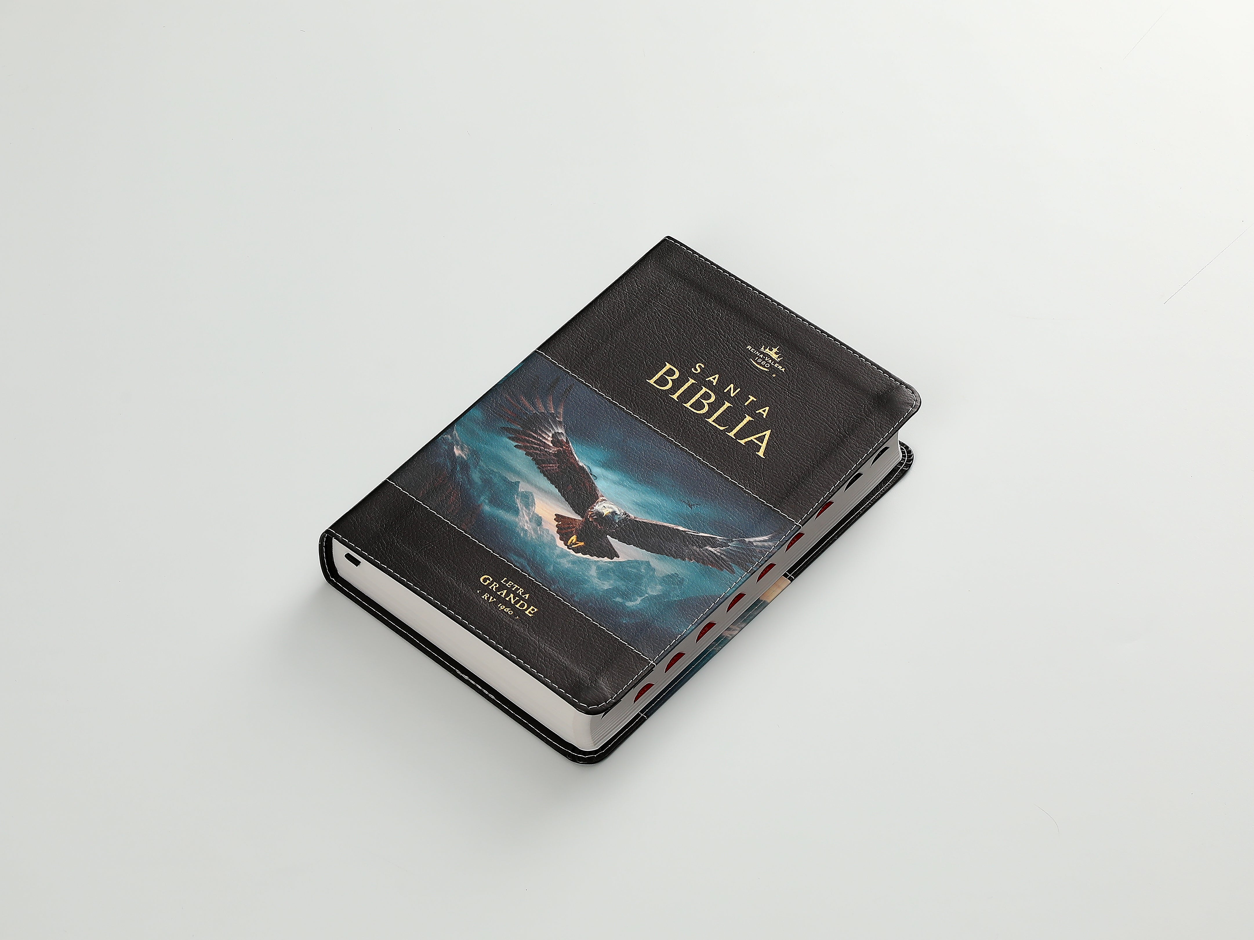 Biblia RVR60 065cti Colección Supreme Águila en vuelo