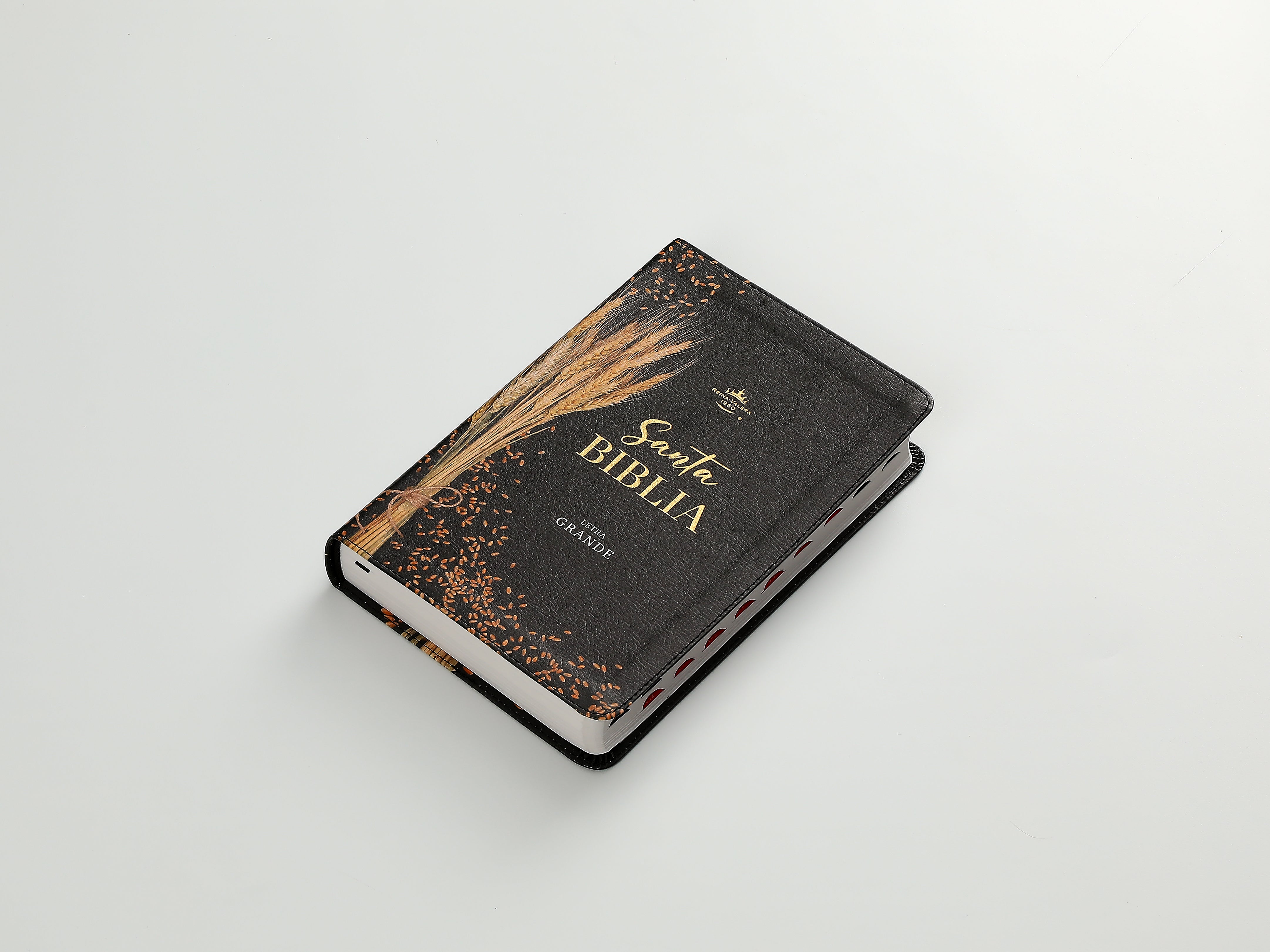 Biblia RVR60 065cti Colección Supreme Negro trigo