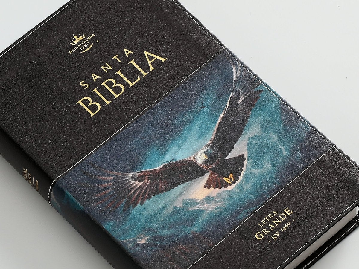 Biblia RVR60 065cti Colección Supreme Águila en vuelo