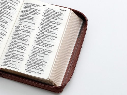 Biblia Reina Valera 1960 045Cz L 10P 13X18 Pjr Tricolor Café/Negro/Café