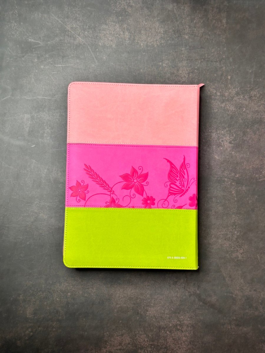 Reina Valera 1960 095Czti Lspgi 19P 18X26 Pjr Tricolor Rosa/Fucsia/Lima