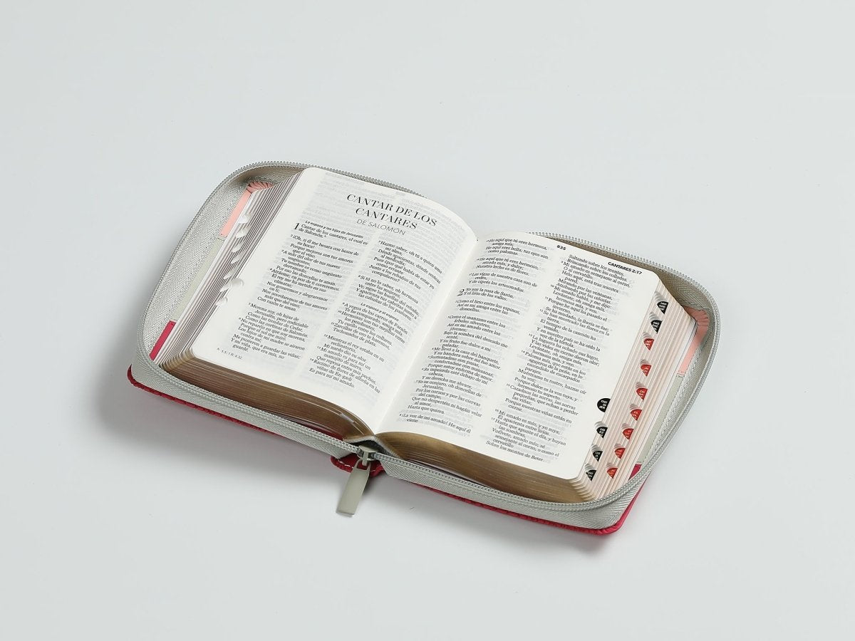 Biblia Reina Valera 1960 – 025 – Con Concordancia – Letra 8 pts – 10x14 cm – Cierre – Indice- Tricolor Rosa/Blanco/Fucsia