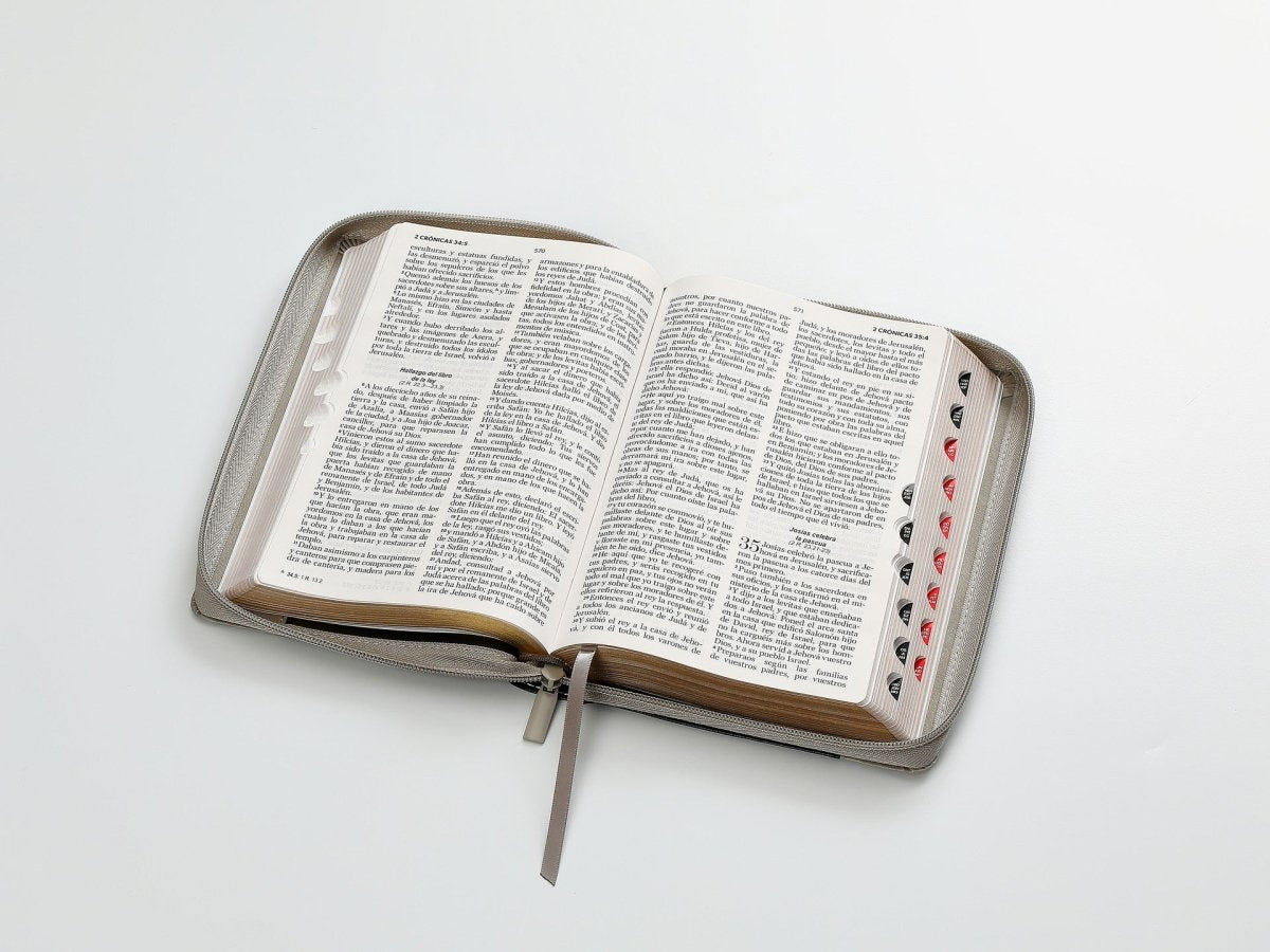 Biblia Rvr60 065Czti Lg Cierre Indice 12P 15 X 23 Inspiracion León Negro/Gris/Gris