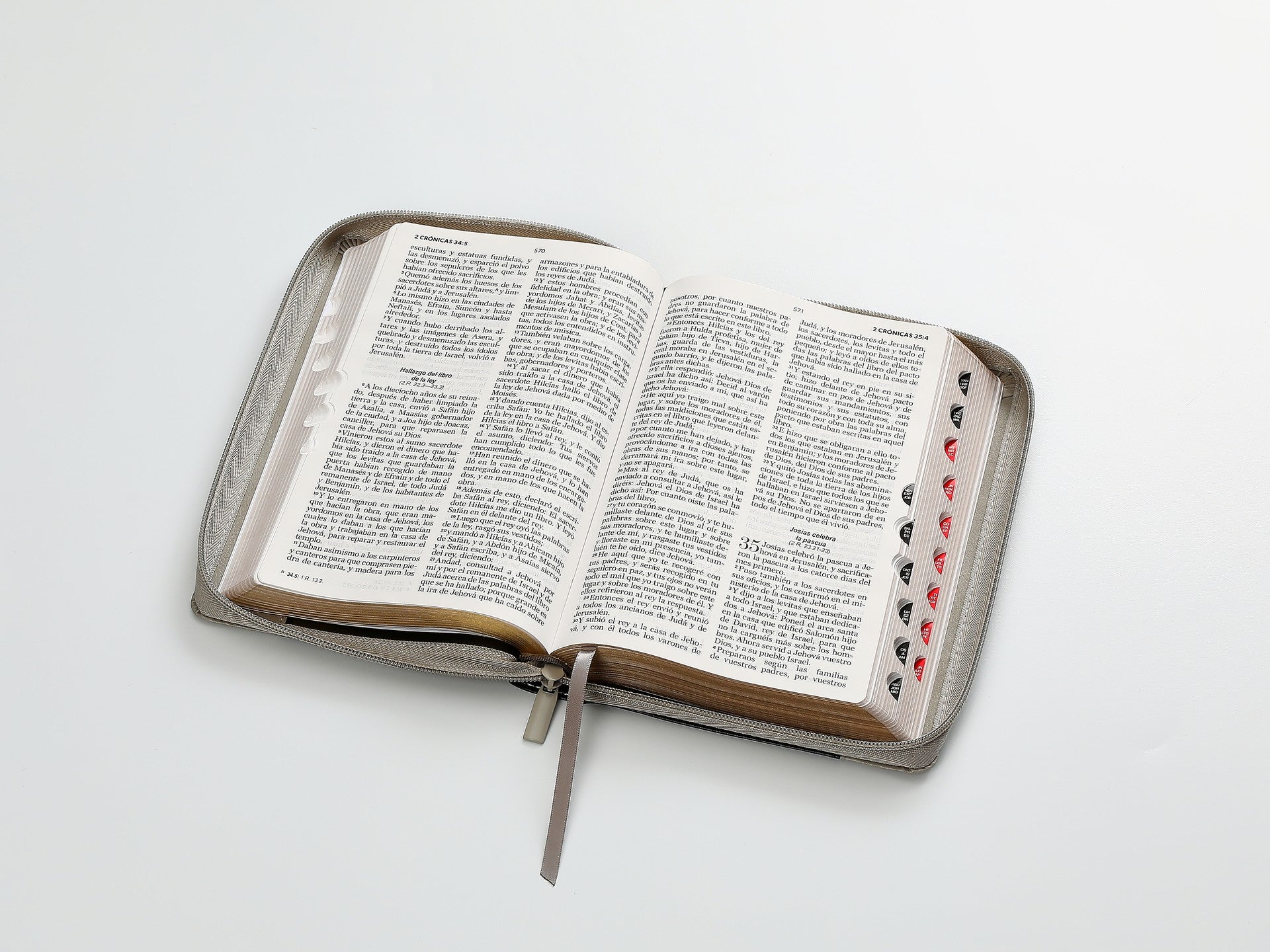 Biblia Rvr60 065Czti Lg Cierre Indice 12P 15 X 23 Inspiracion León Negro/Gris/Gris