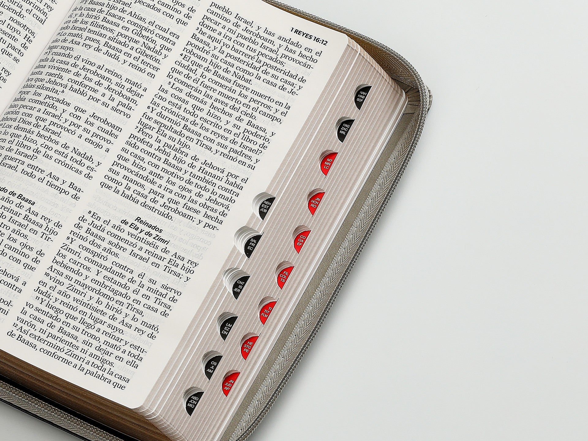 Biblia Rvr60 065Czti Lg Cierre Indice 12P 15 X 23 Inspiracion León Negro/Gris/Gris