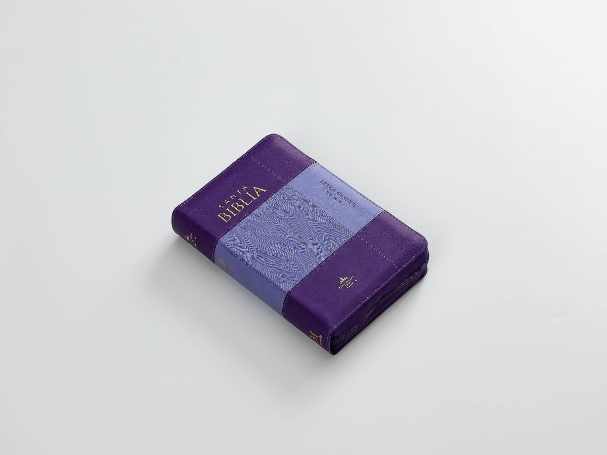 Biblia Reina Valera 1960 045Czti L 10P 11X16Cm Pjr I/Piel Bicolor Lila/Lila