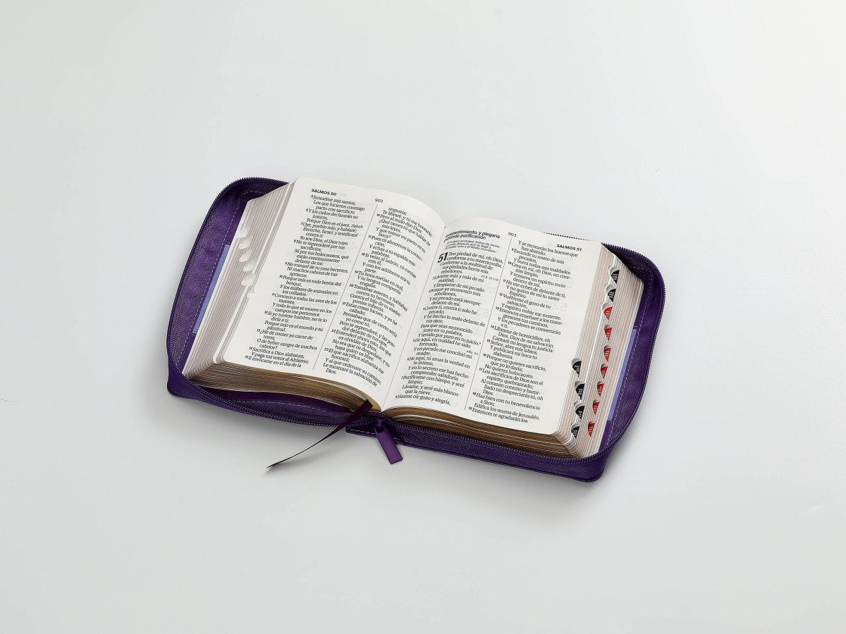 Biblia Reina Valera 1960 045Czti L 10P 11X16Cm Pjr I/Piel Bicolor Lila/Lila